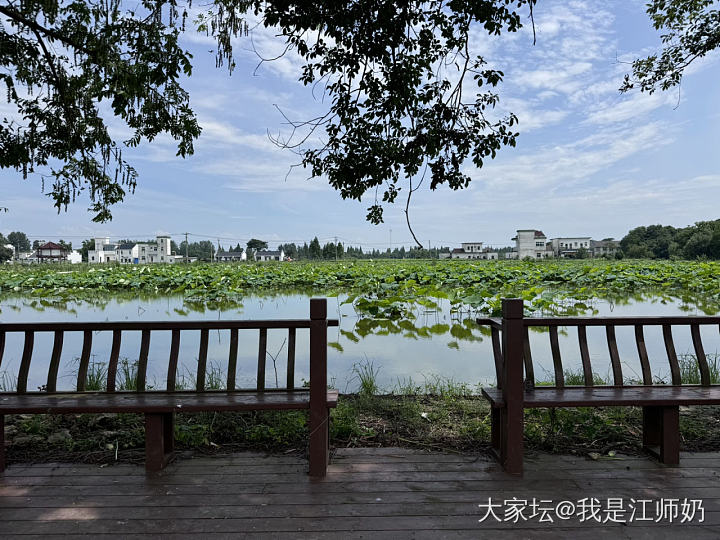 相识十九周年纪念_铂银