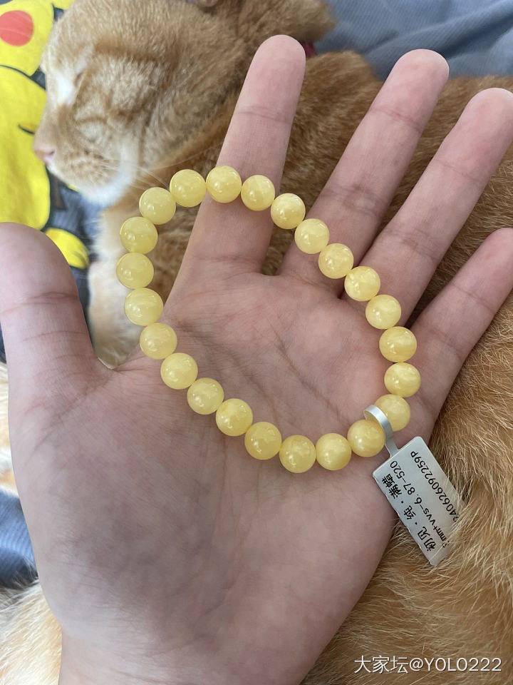 蜜蜡小白_琥珀蜜蜡