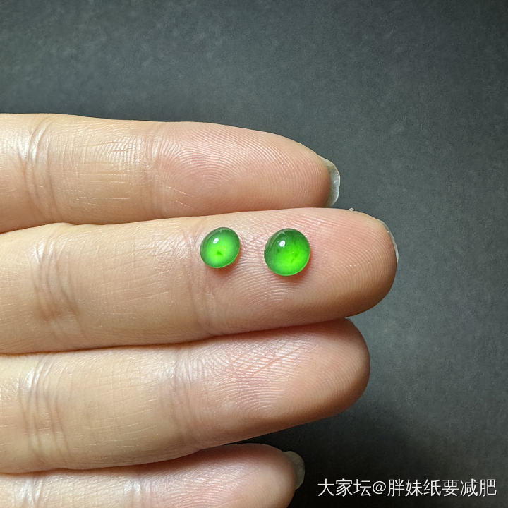 深夜放毒哈哈哈_翡翠