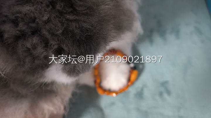 老蜜蜡手串手排_手饰蜜蜡琥珀蜜蜡