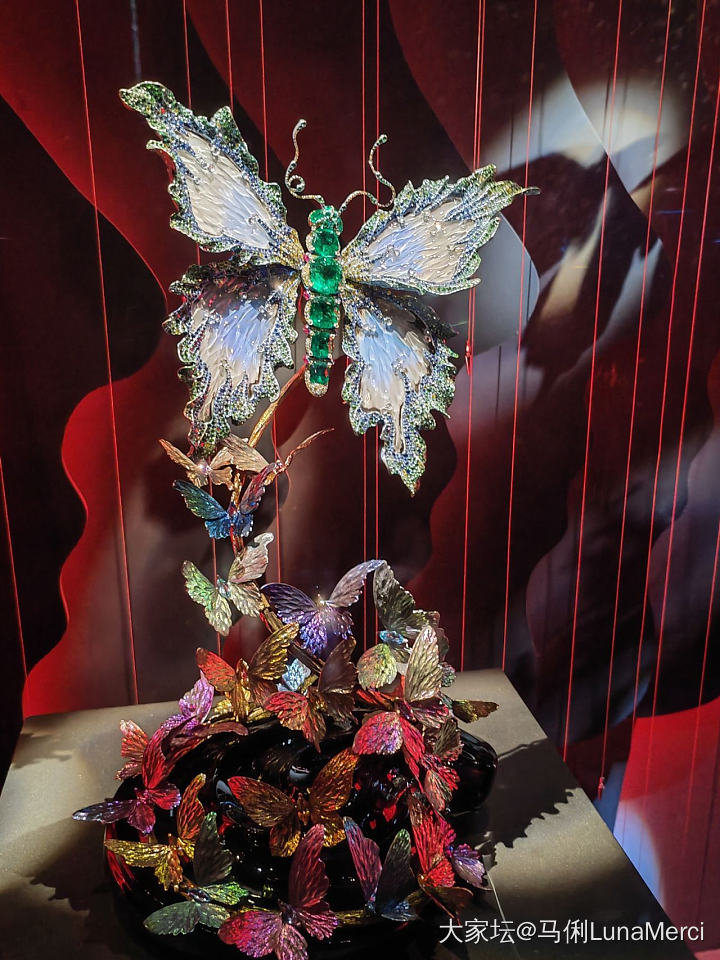 陈世英作品展观后感_名贵宝石