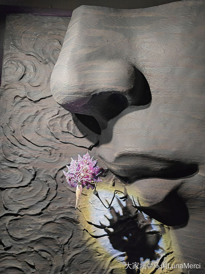 陈世英作品展观后感_名贵宝石