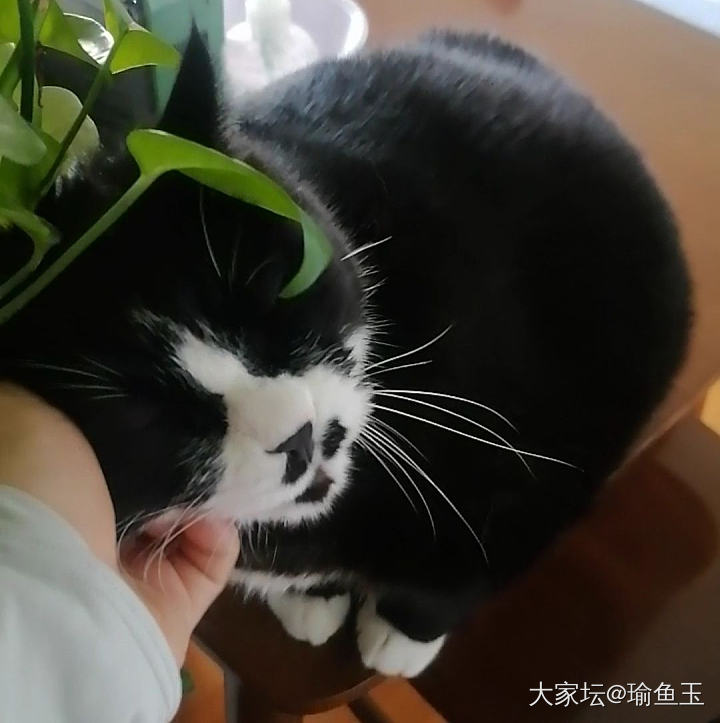 晒太阳_琥珀蜜蜡珠串手链玉髓玛瑙和田玉