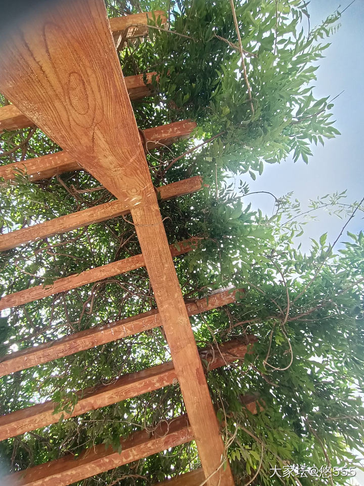 活的好累