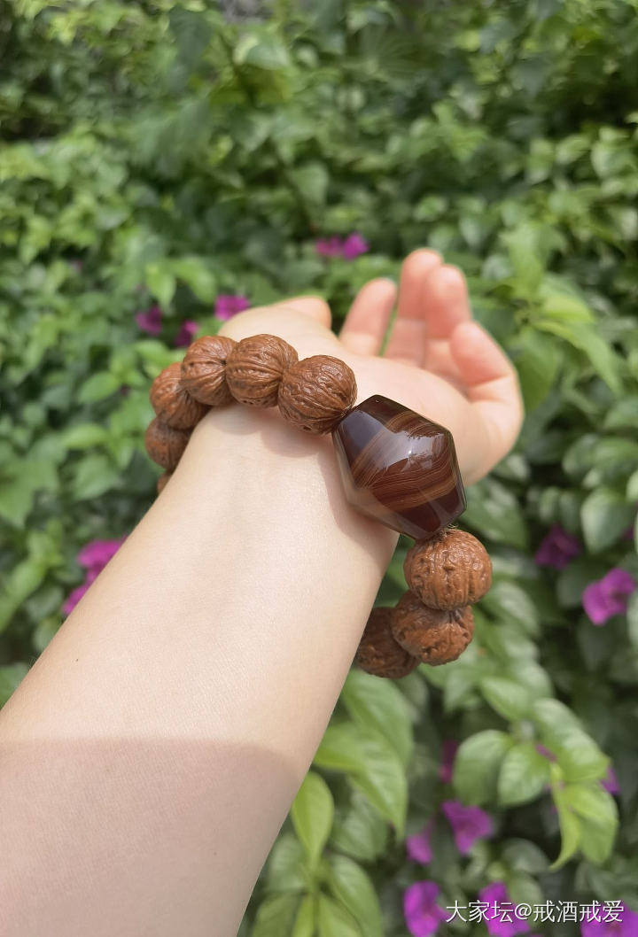 有人玩秋子手串吗？_珠串文玩