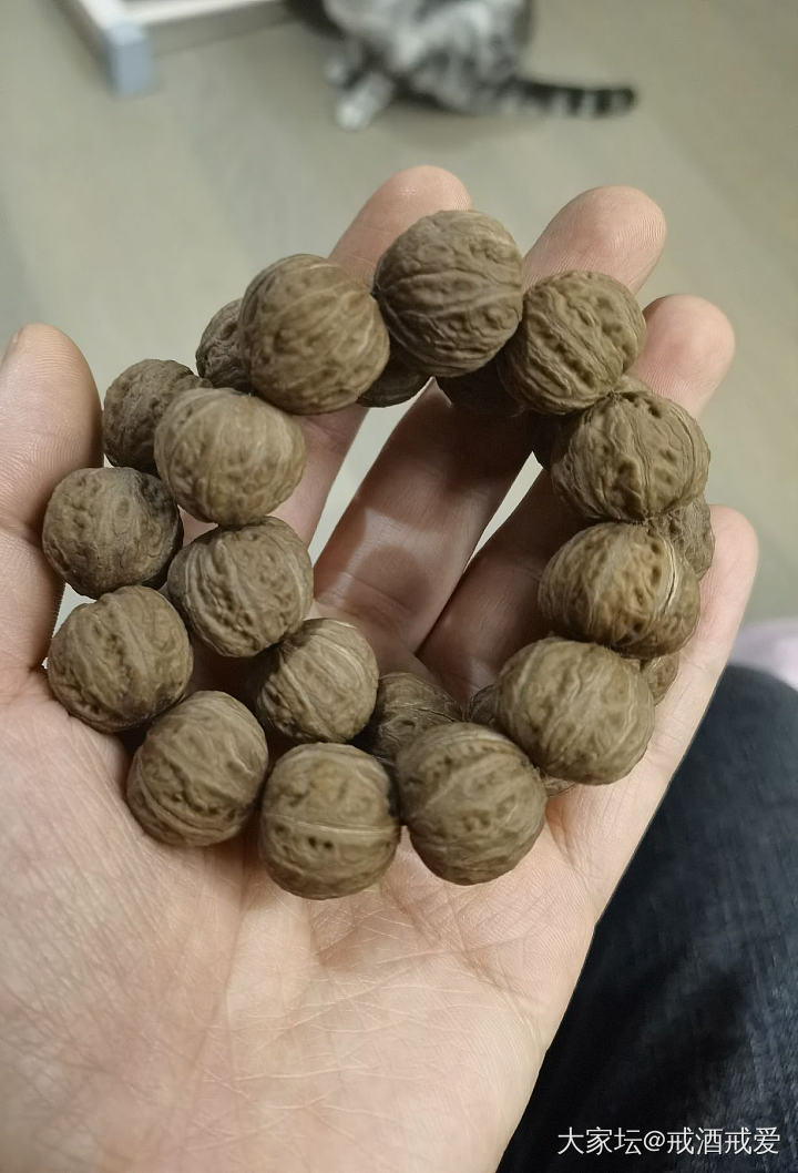 有人玩秋子手串吗？_珠串文玩