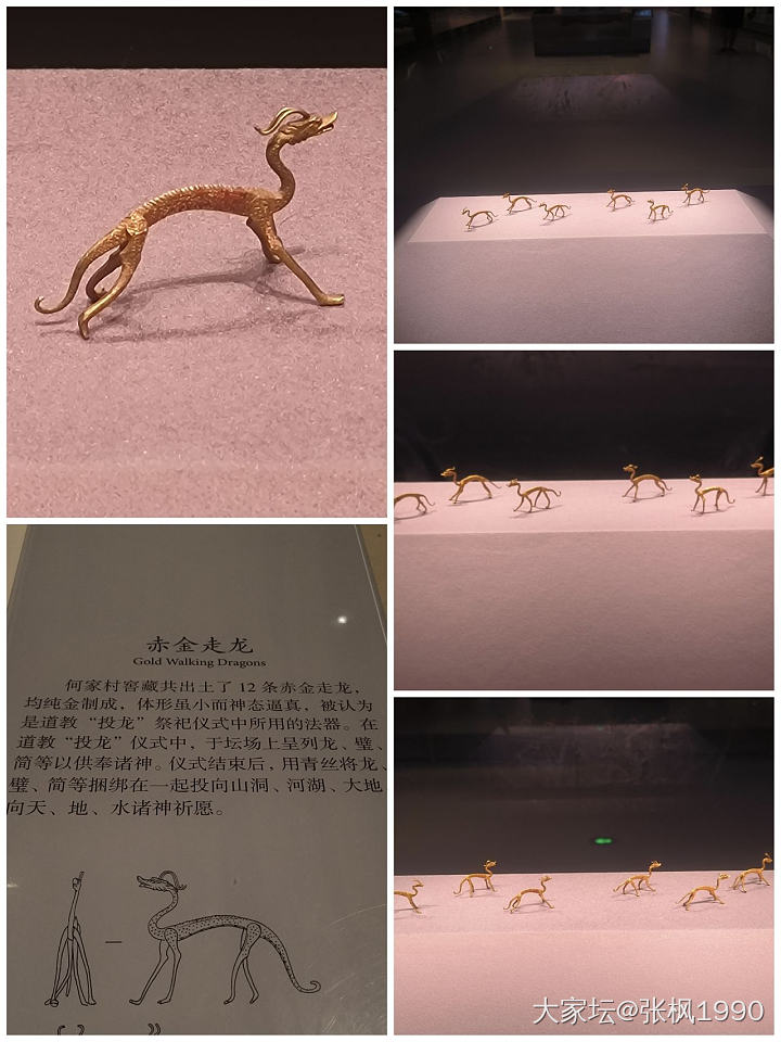 陕西历史博物馆归来，瘾太大了_收藏金博物馆