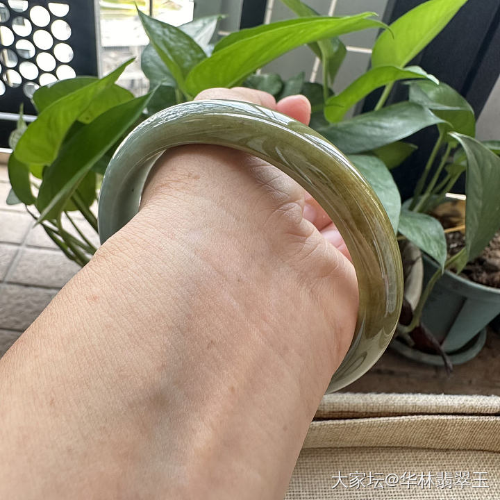 特大口径黄翡玉镯66 MM_手镯翡翠