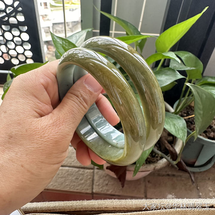 特大口径黄翡玉镯66 MM_手镯翡翠