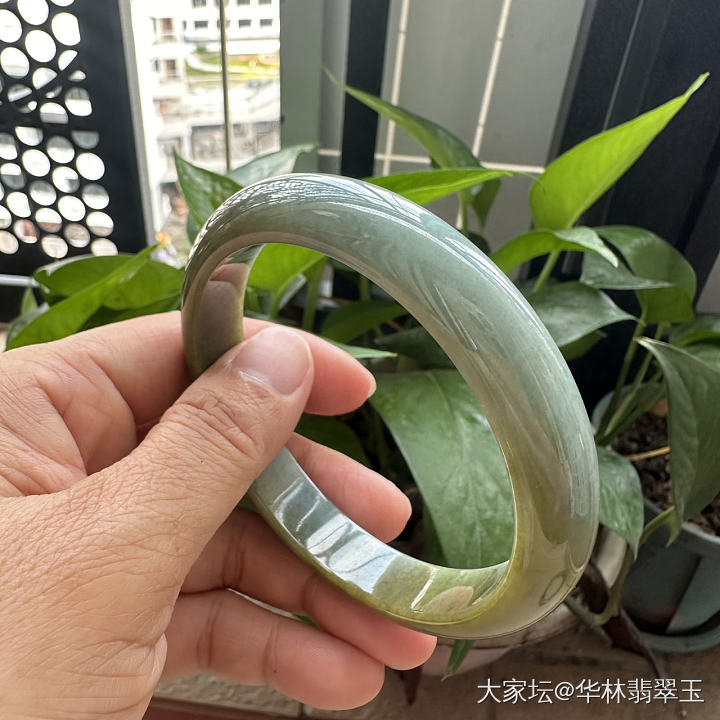 特大口径黄翡玉镯66 MM_手镯翡翠