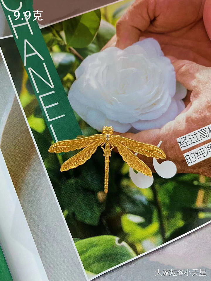 岛家这次新品我感觉都好好看_网店商家金