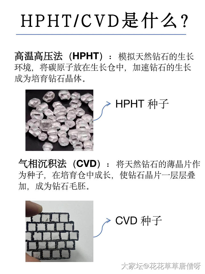 培育钻拼团20240812（16日晚上六点截团）_公告