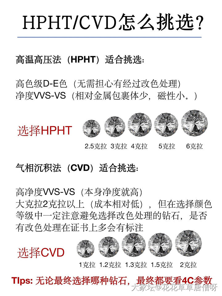 培育钻拼团20240812（16日晚上六点截团）_公告