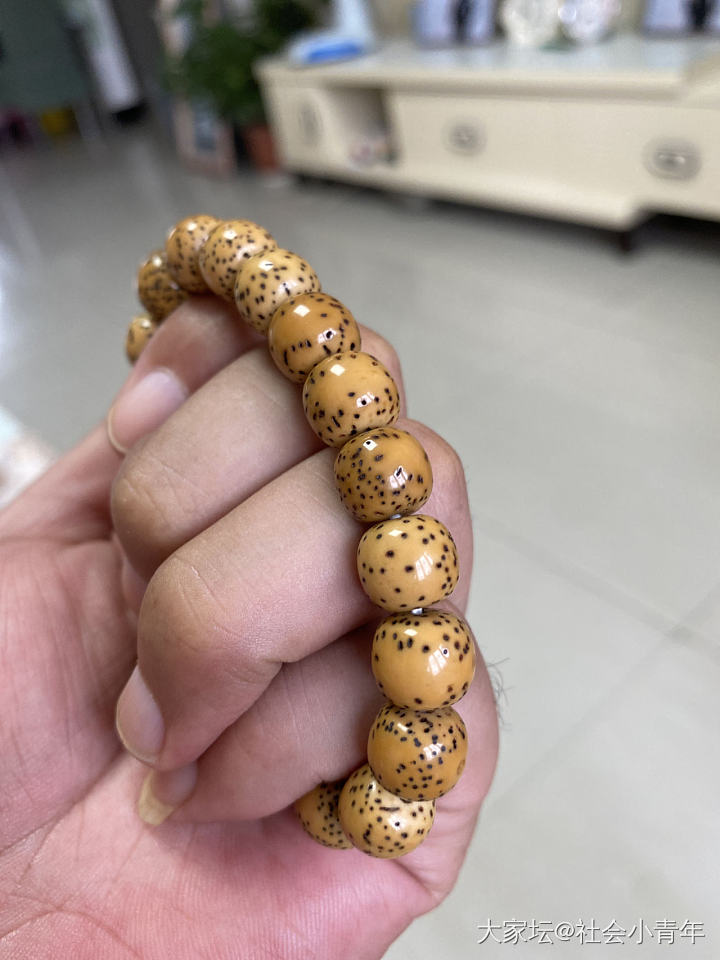 对比一下_菩提子