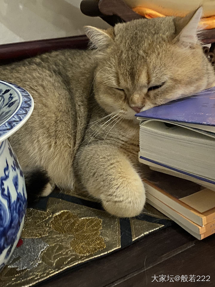 金豆豆再来水一波🧧