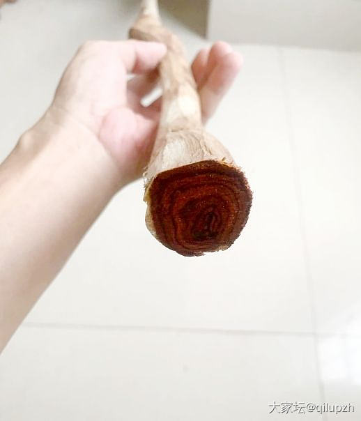 这是什么木头_木