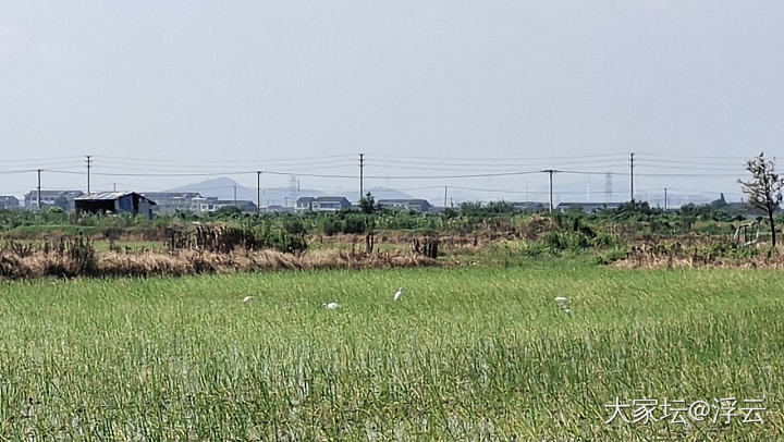 走在乡间的小路上，水泥地面烫脚。_旅游