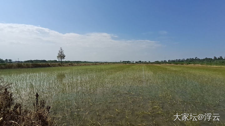走在乡间的小路上，水泥地面烫脚。_旅游