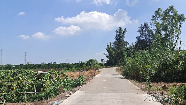 走在乡间的小路上，水泥地面烫脚。_旅游