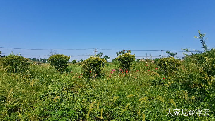 走在乡间的小路上，水泥地面烫脚。_旅游
