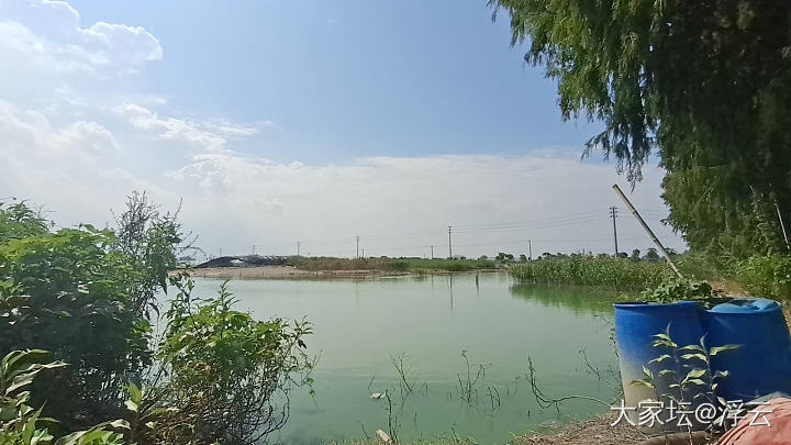 走在乡间的小路上，水泥地面烫脚。_旅游