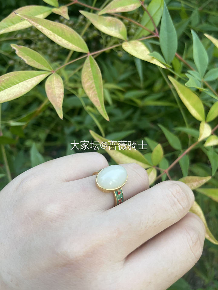 俄料，籽料，且末料混搭风_玉石和田玉