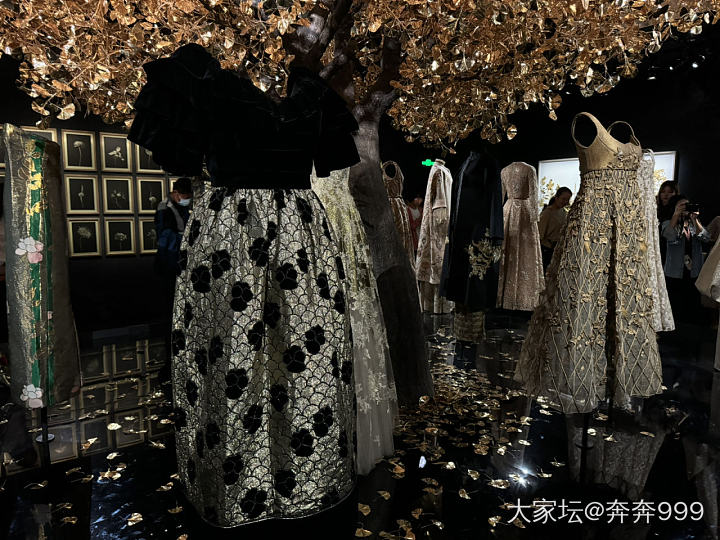 迪奥 倾世之金 展览_博物馆