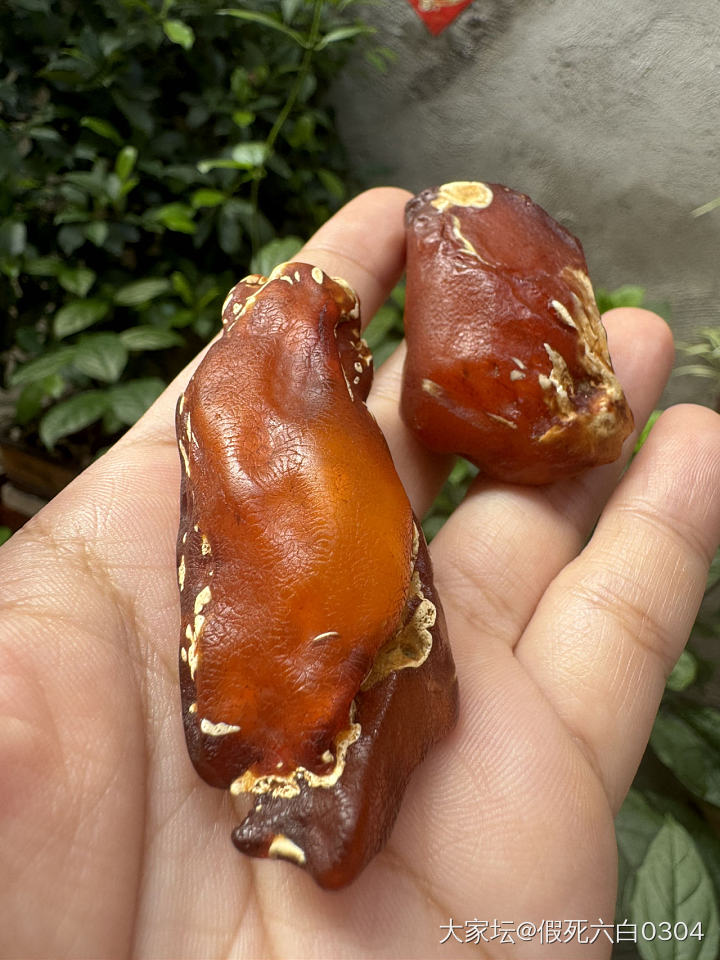 水一帖_琥珀蜜蜡金