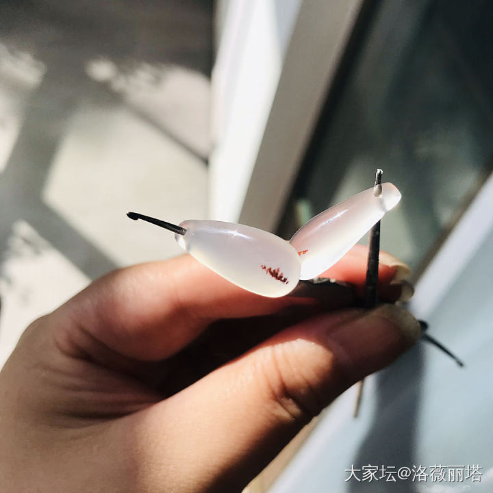 出师未捷身先死 长使英雄泪满襟〈多图警告〉_玉髓玛瑙