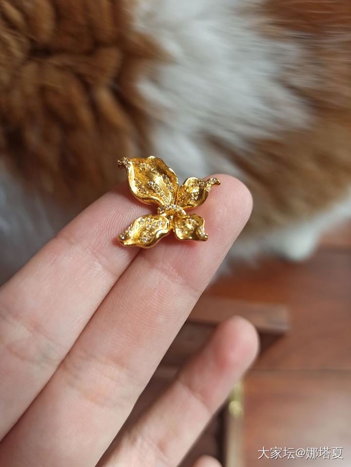 曼卡龙确实有点东西_金