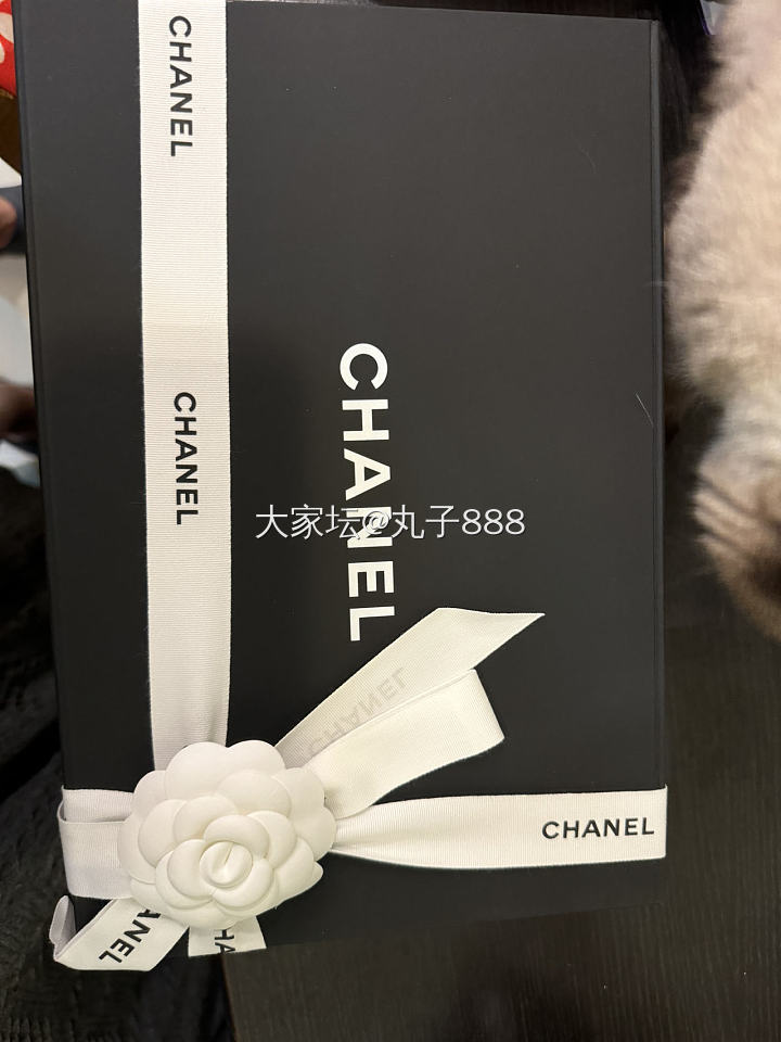 mini 22 bag_包包