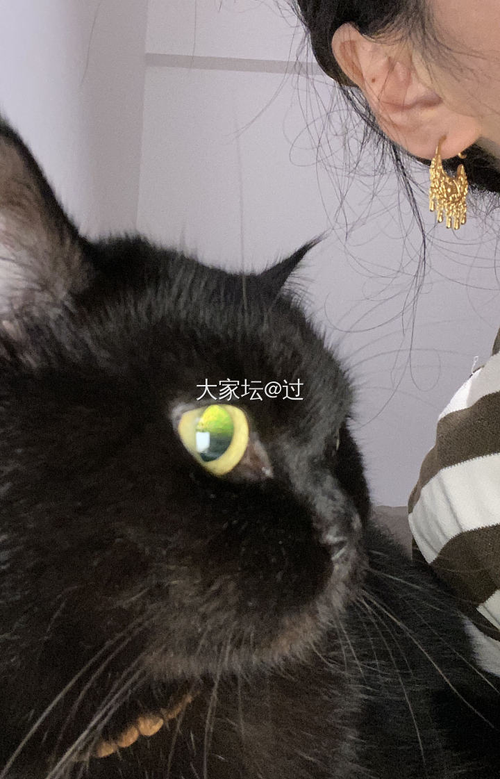 蜜金的名族风耳坠子_耳饰金
