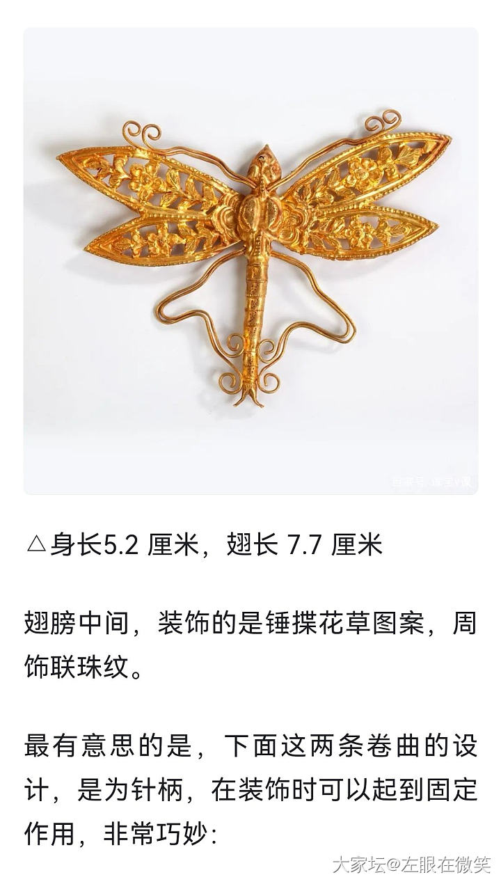 复刻的蜻蜓—补上我的上身照_金