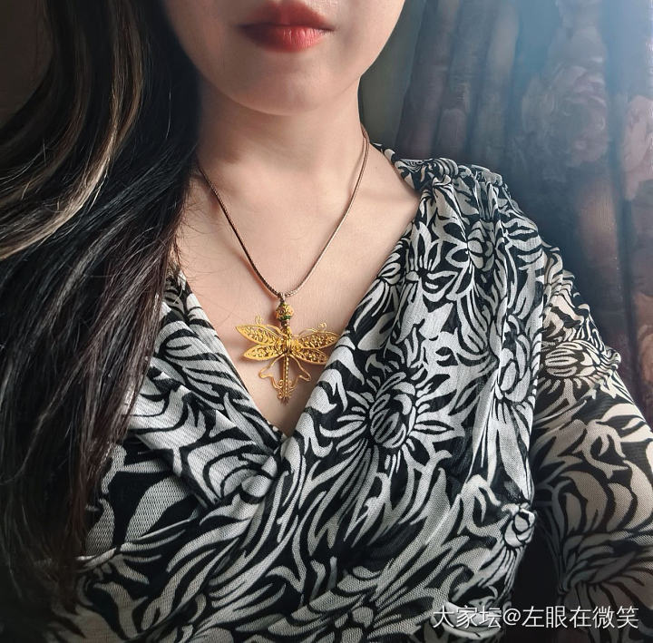 复刻的蜻蜓—补上我的上身照_金
