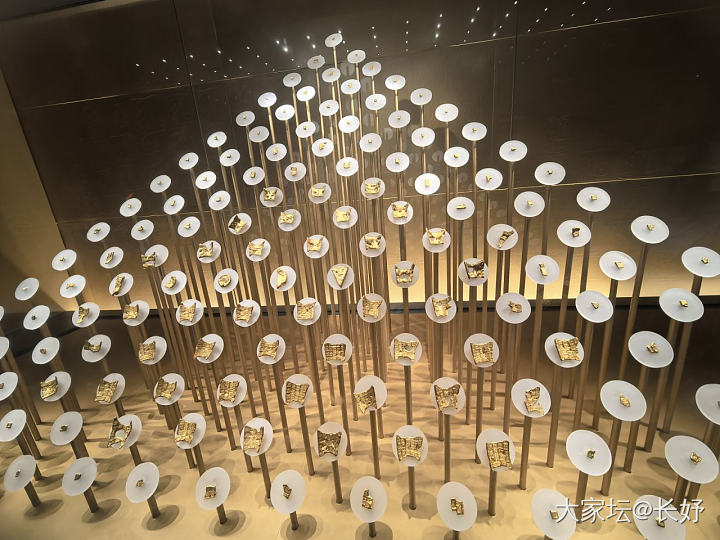 博物馆的金灿灿_博物馆