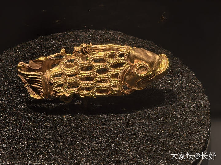 博物馆的金灿灿_博物馆