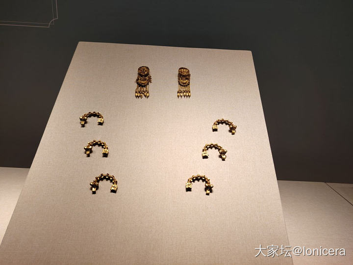 今天是涨知识的一天_博物馆金