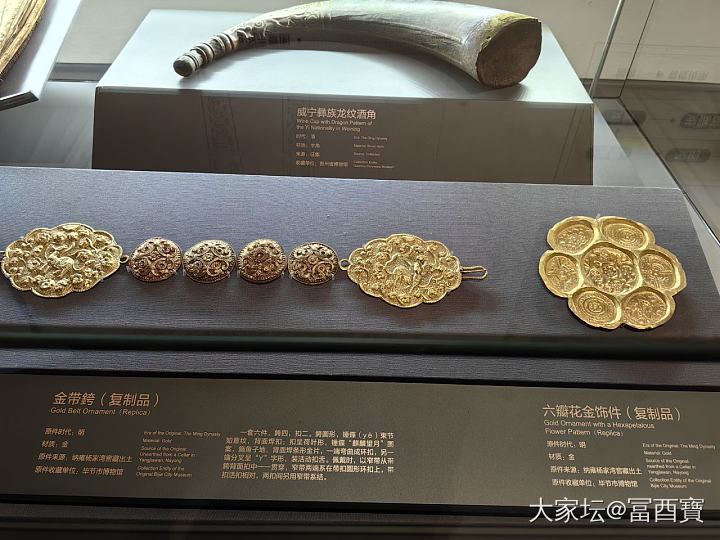 今天是涨知识的一天_博物馆金