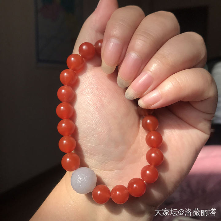 今天看见它勾起我吵架失败的窝囊气_南红