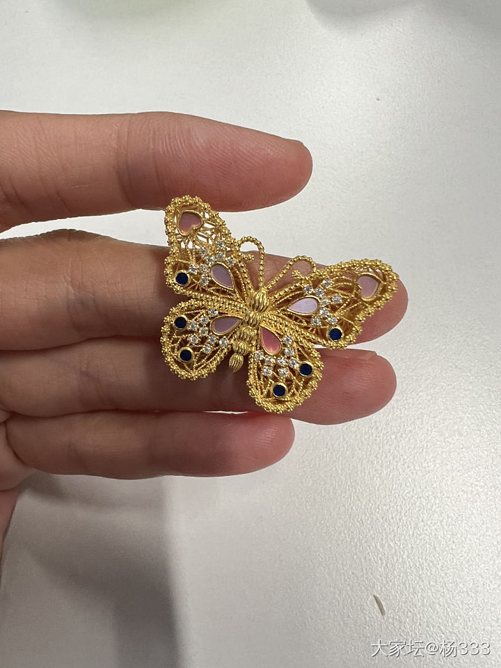 昨天入的蝴蝶_金