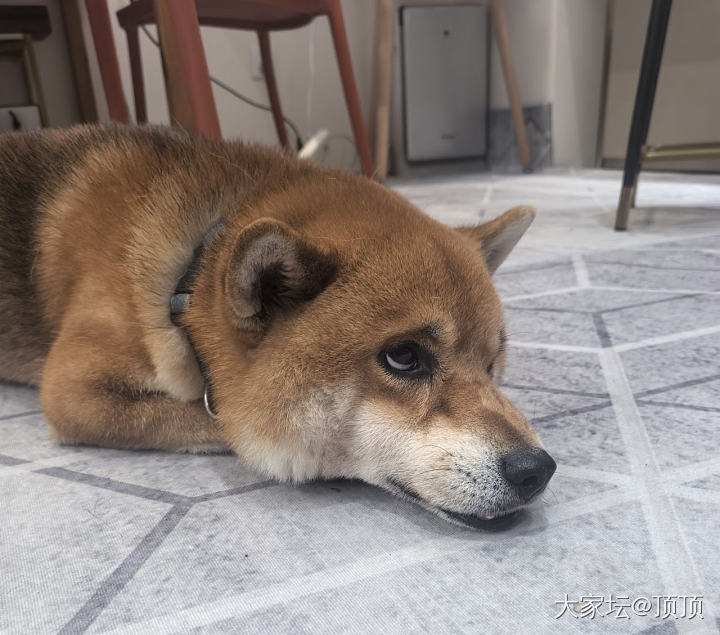 还是买线下吧_珍珠