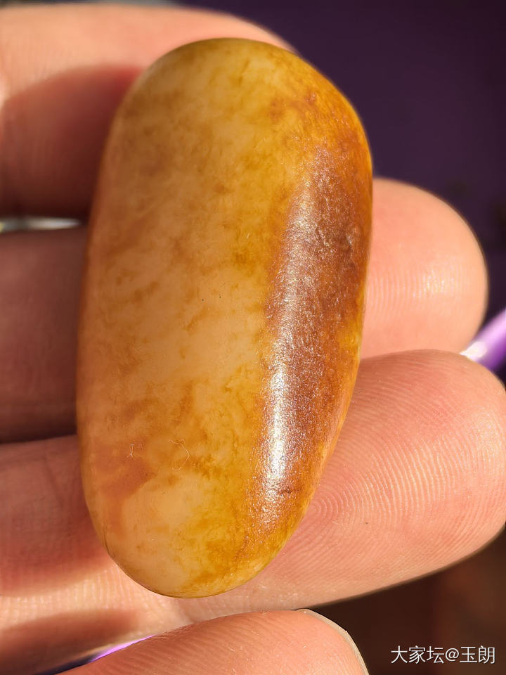 黄白种的魅力_和田玉