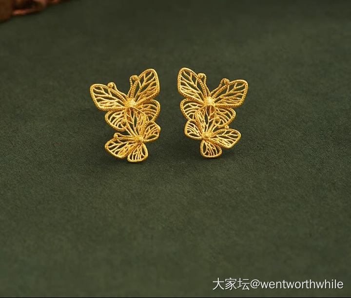 没有羊毛，这是今天的作业_金