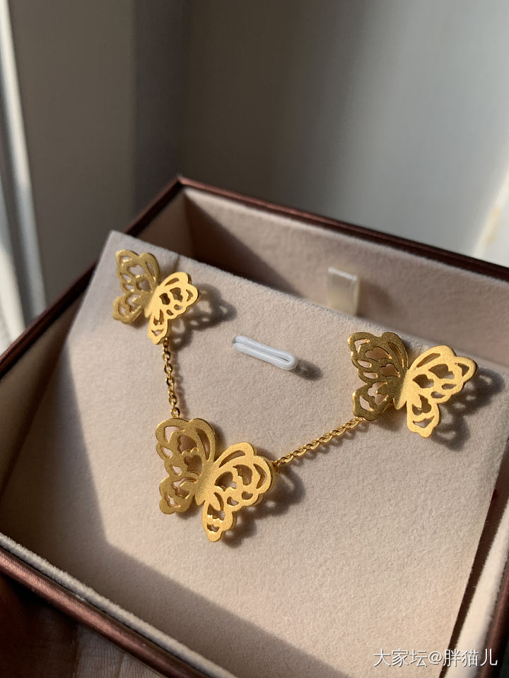 心心念念的蝴蝶们终于全部飞到我碗里_金