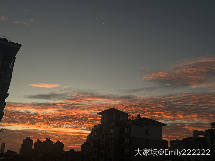 沉香手串是挺低调的_珠串沉香香道