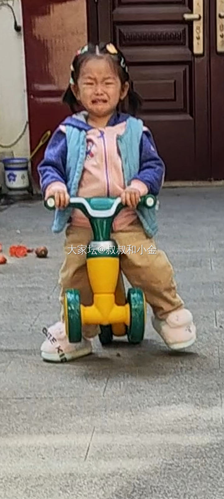 关于二丫对帅哥有阴影的始末_家务事