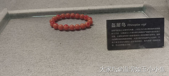 中国古生物博物馆，家门口的，终于去了一次_博物馆