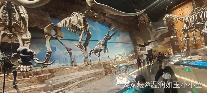 中国古生物博物馆，家门口的，终于去了一次_博物馆