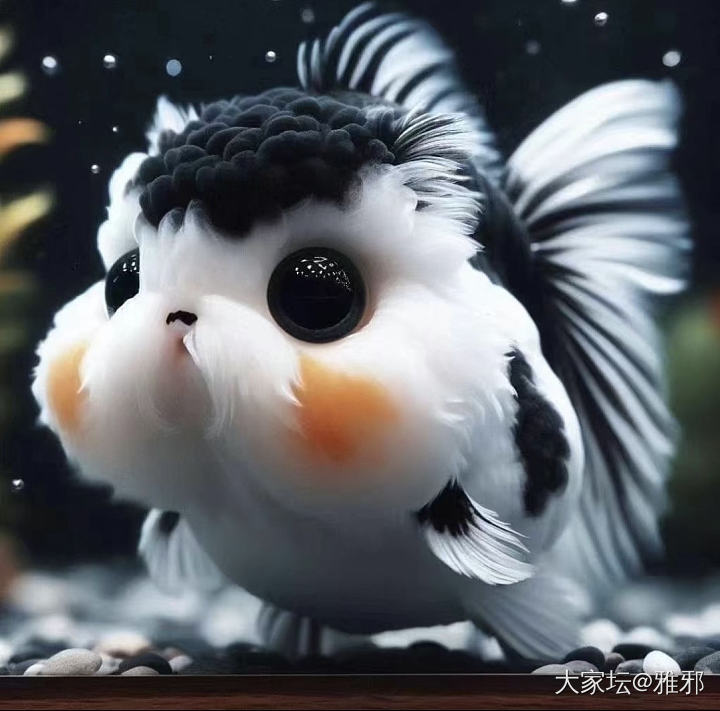 咨询贴，有做过排钻的美女能推荐下么？_钻石
