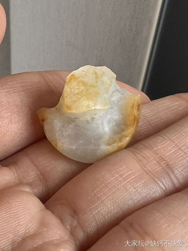 那个之前半僵火龙果被我做成了菌类_和田玉